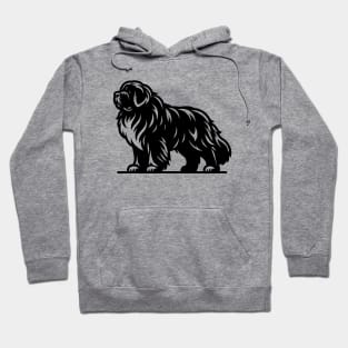 Newfoundland Dog Hoodie